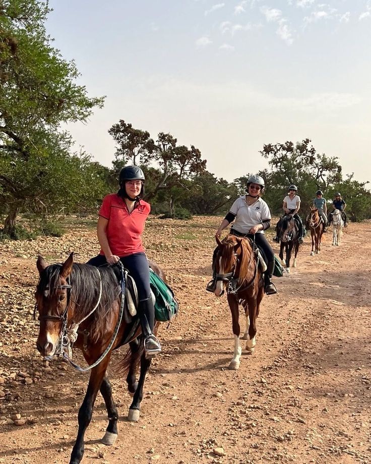 Horseback riding Souss Massa near Agadir — photo 4