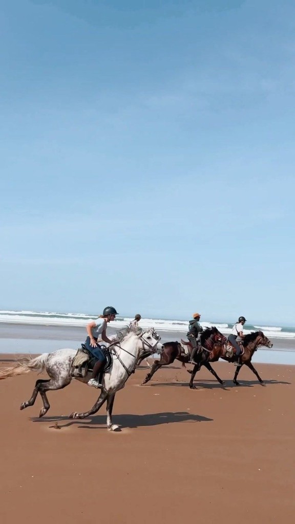 Horseback riding Souss Massa near Agadir — photo 2