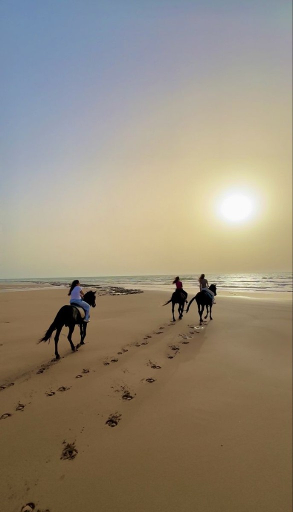 Horseback riding Souss Massa near Agadir