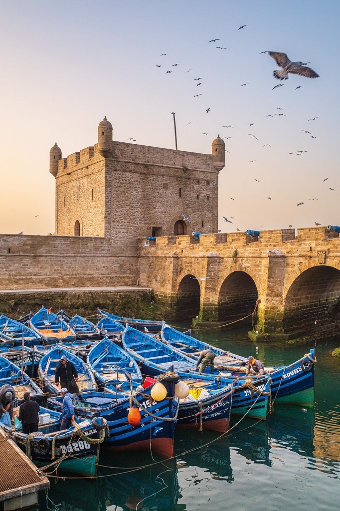 Essaouira medina and port excursion from Agadir