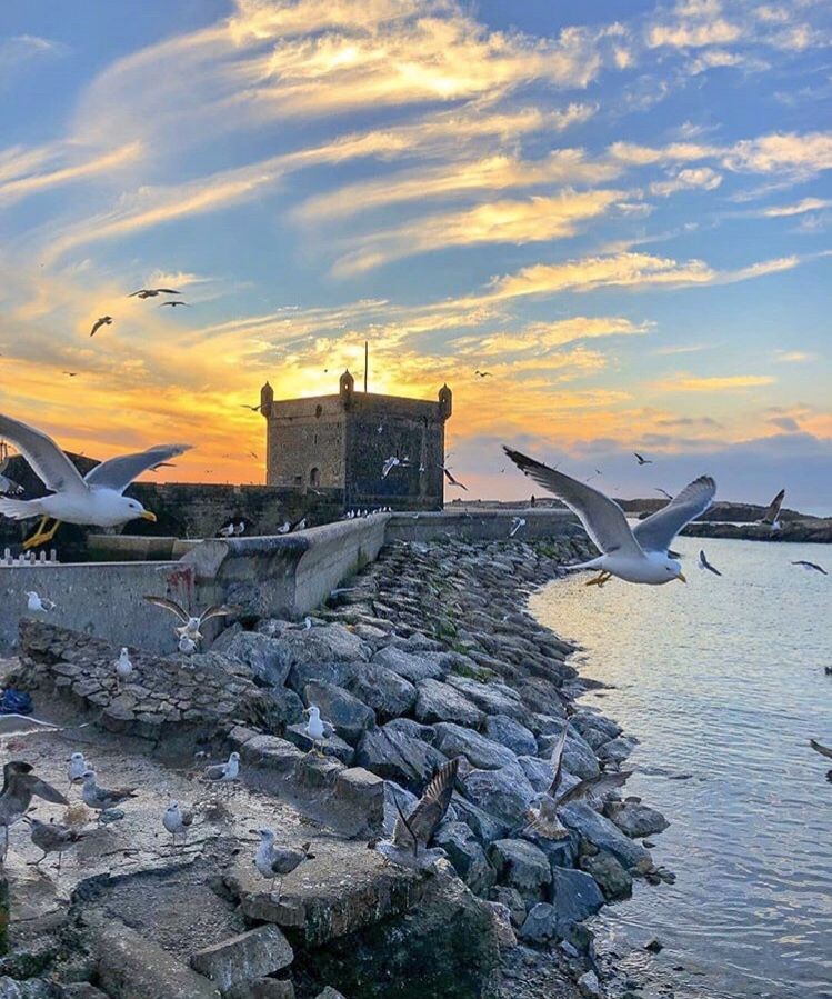 Essaouira medina and port excursion from Agadir — photo 4