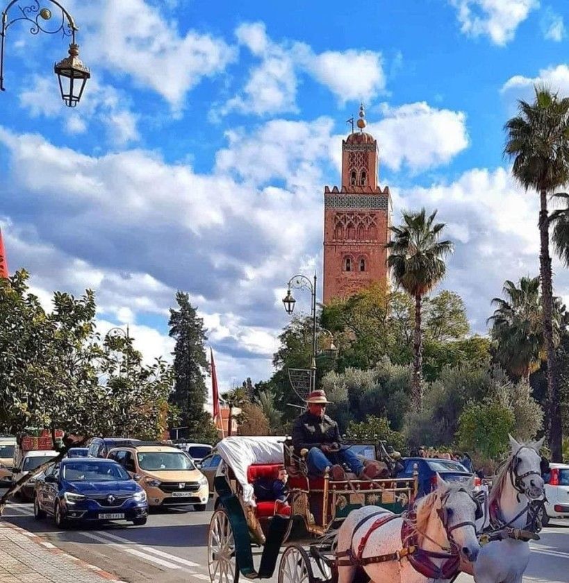 Marrakech day trip excursion from Agadir — photo 4