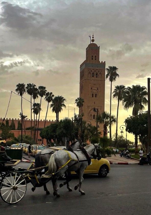 Marrakech day trip excursion from Agadir