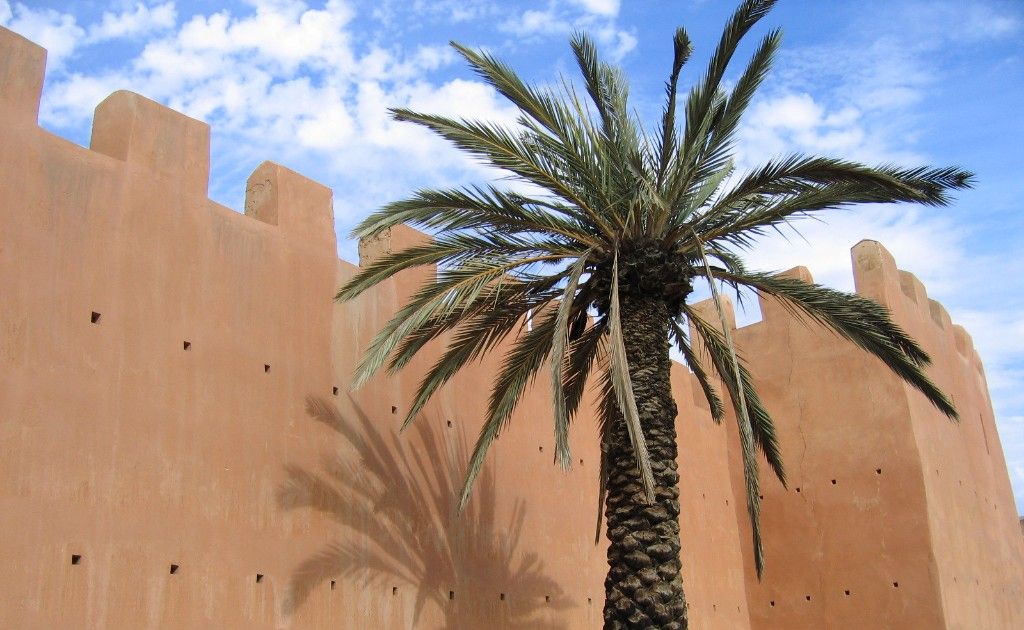Taroudant ramparts and palm groves excursion from Agadir — photo 3
