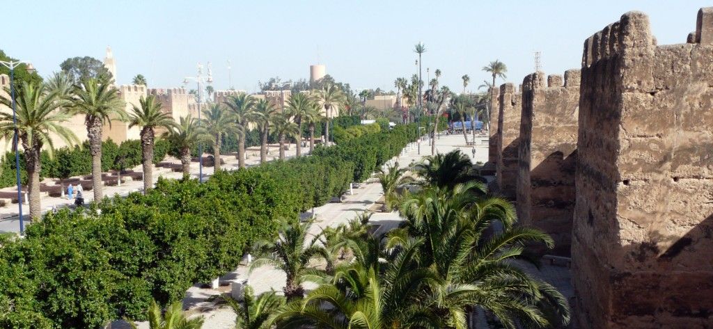 Taroudant ramparts and palm groves excursion from Agadir
